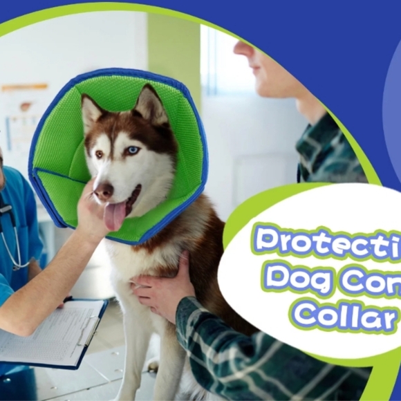 Kuoser Soft Dog Cone Collar Medium Blue after surgery Adjustable buckle straps - Picture 6 of 7